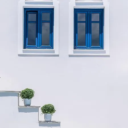Semeli איוס פרוקופיוס